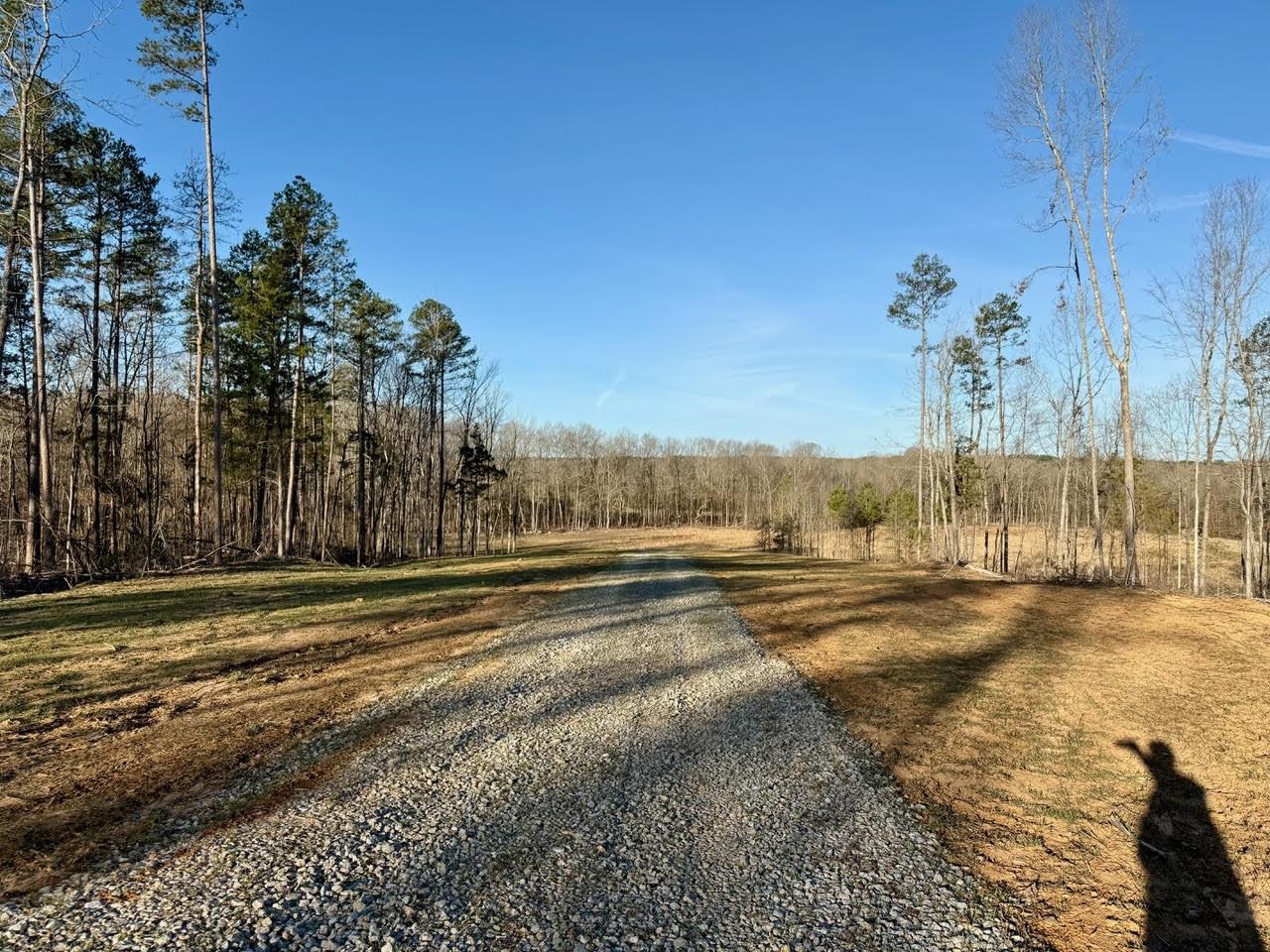 0 Old Enon Road Middleton, TN 38052 - Photo 17 of 19 a view of a yard