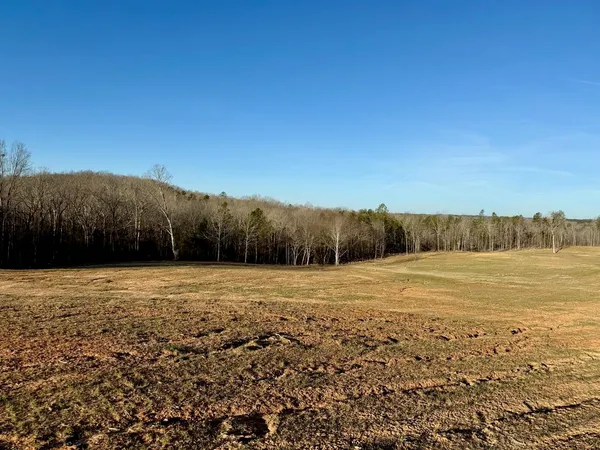 a view of a backyard of the house