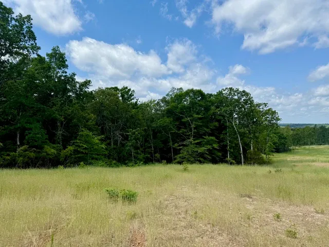 a view of basketball court