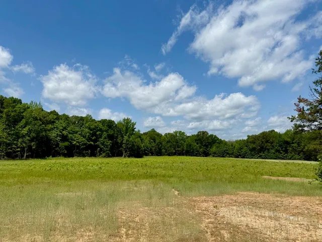 a view of a garden with a building in the background