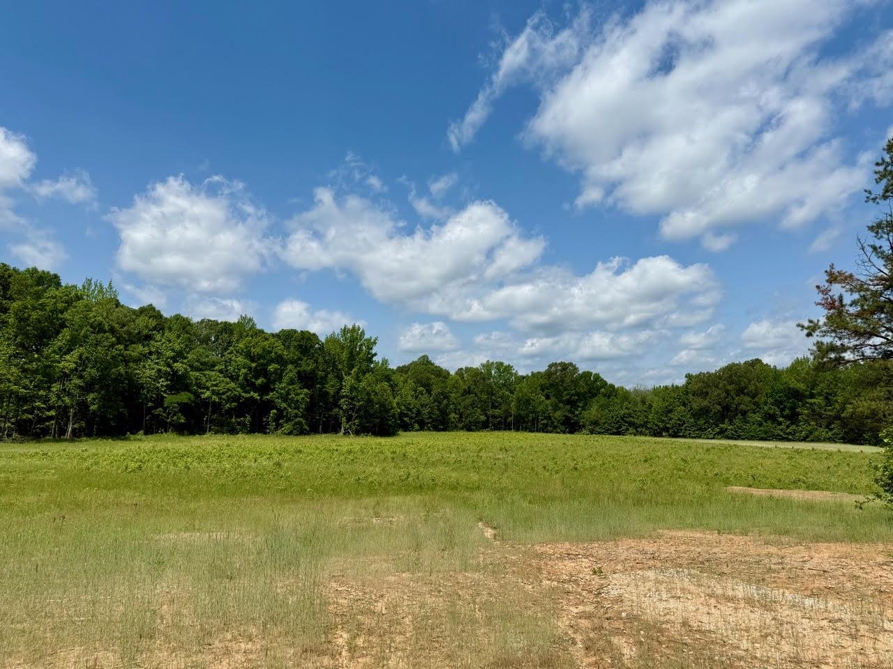 0 Old Enon Road Middleton, TN 38052 - Photo 3 of 19 a view of a garden with a building in the background