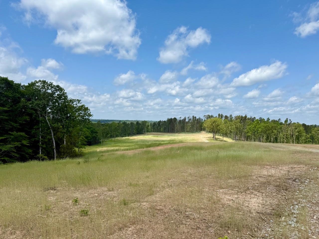 0 Old Enon Road Middleton, TN 38052 - Photo 5 of 19 a view of an ocean and beach