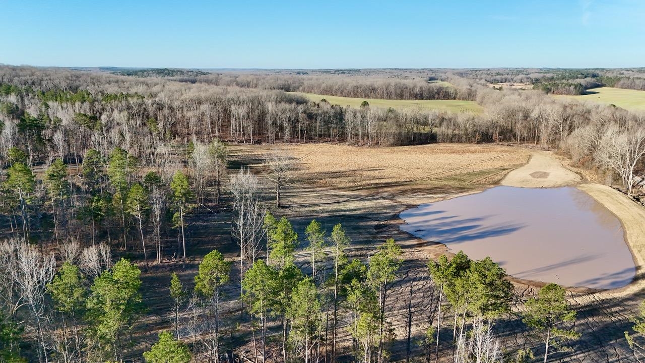 0 Old Enon Road Middleton, TN 38052 - Photo 6 of 19 a view of a backyard