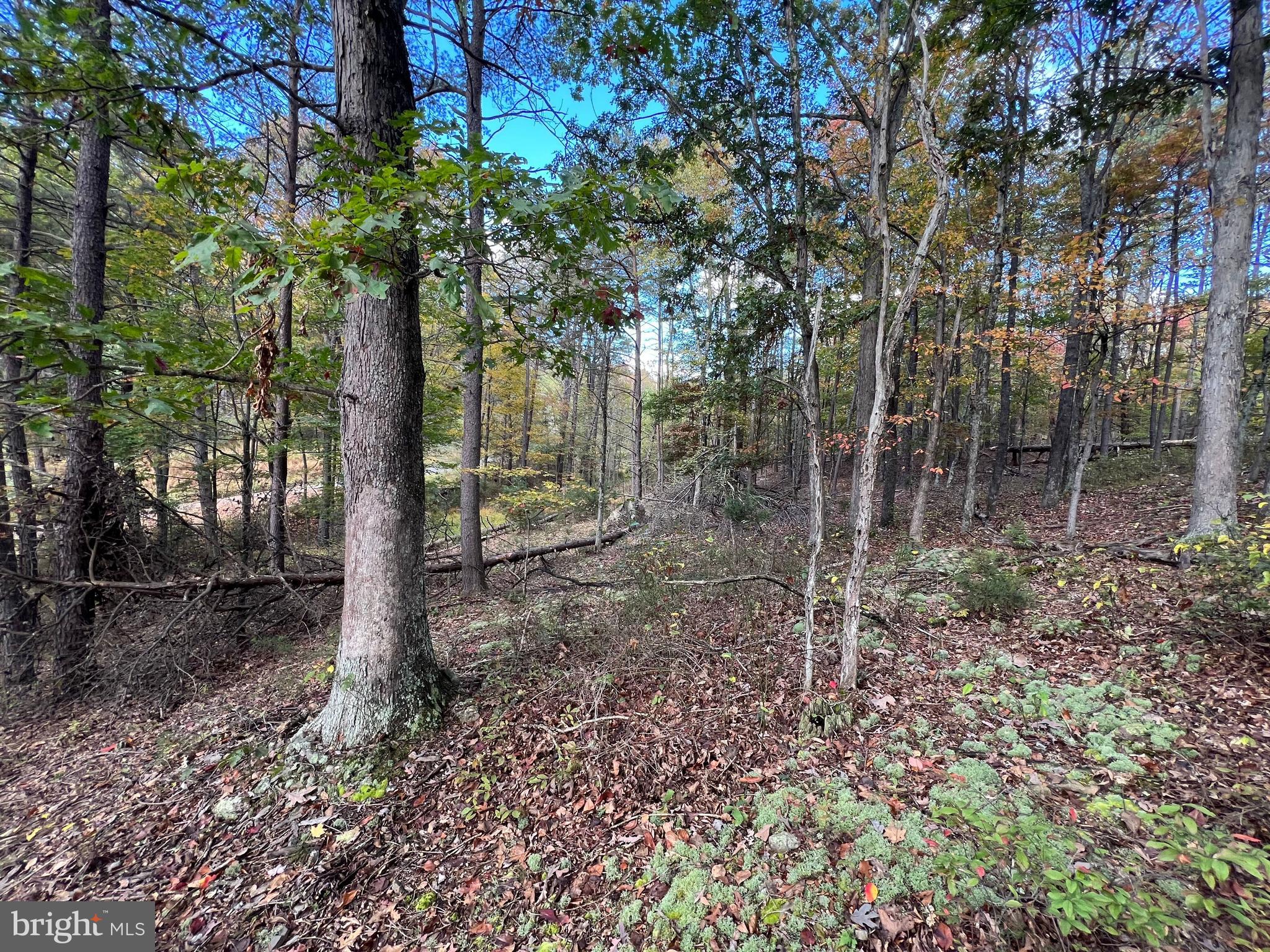 Lot 6 Deep Run Hollow Road Delray, WV 26714 - Photo 10 of 18 a backyard of a house with lots of green space