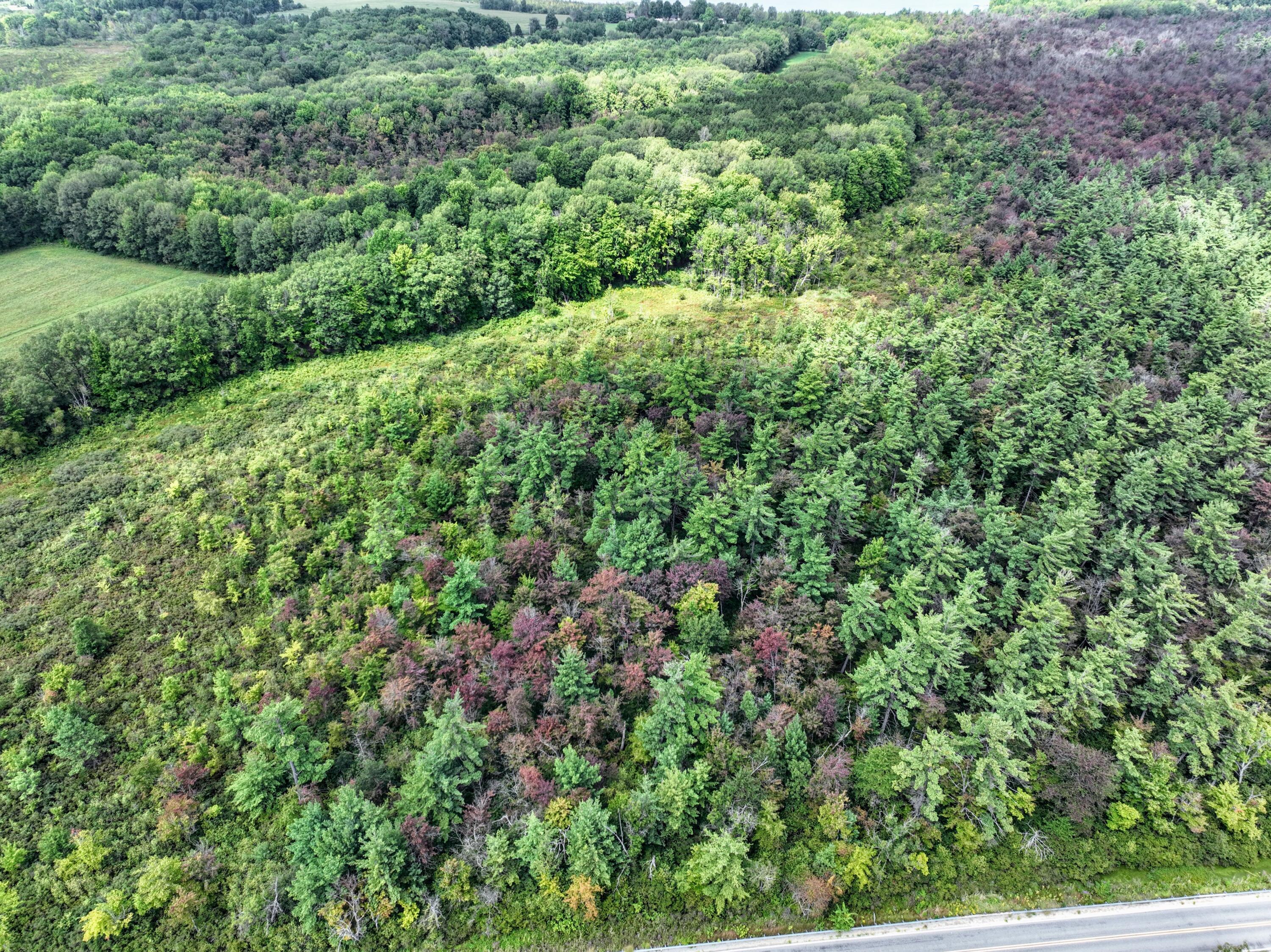 Vl Vl Orchard Road, Unit LOT#WP001 Delton, MI 49046 - Photo 13 of 41 13
