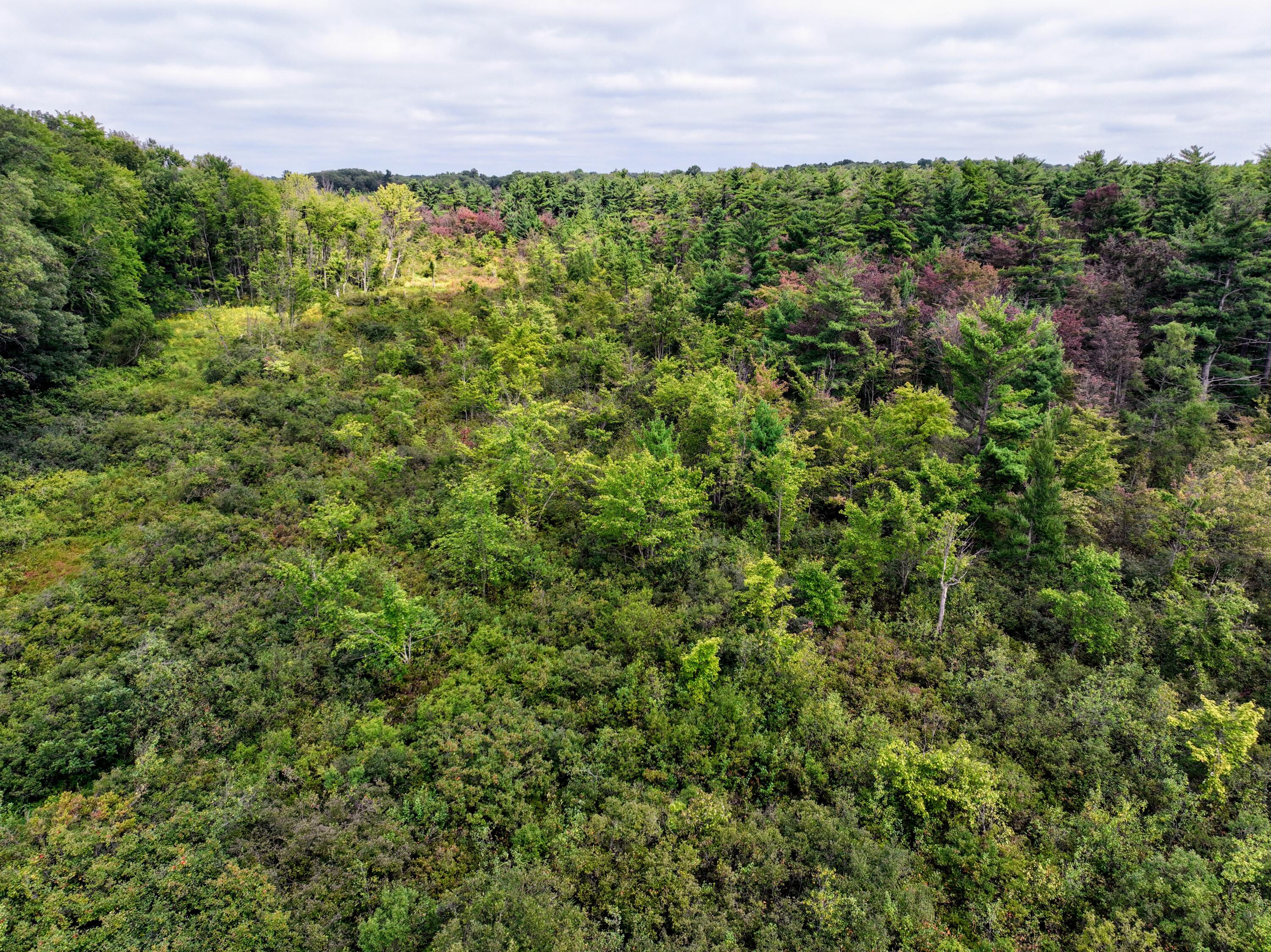 Vl Vl Orchard Road, Unit LOT#WP001 Delton, MI 49046 - Photo 16 of 41 16