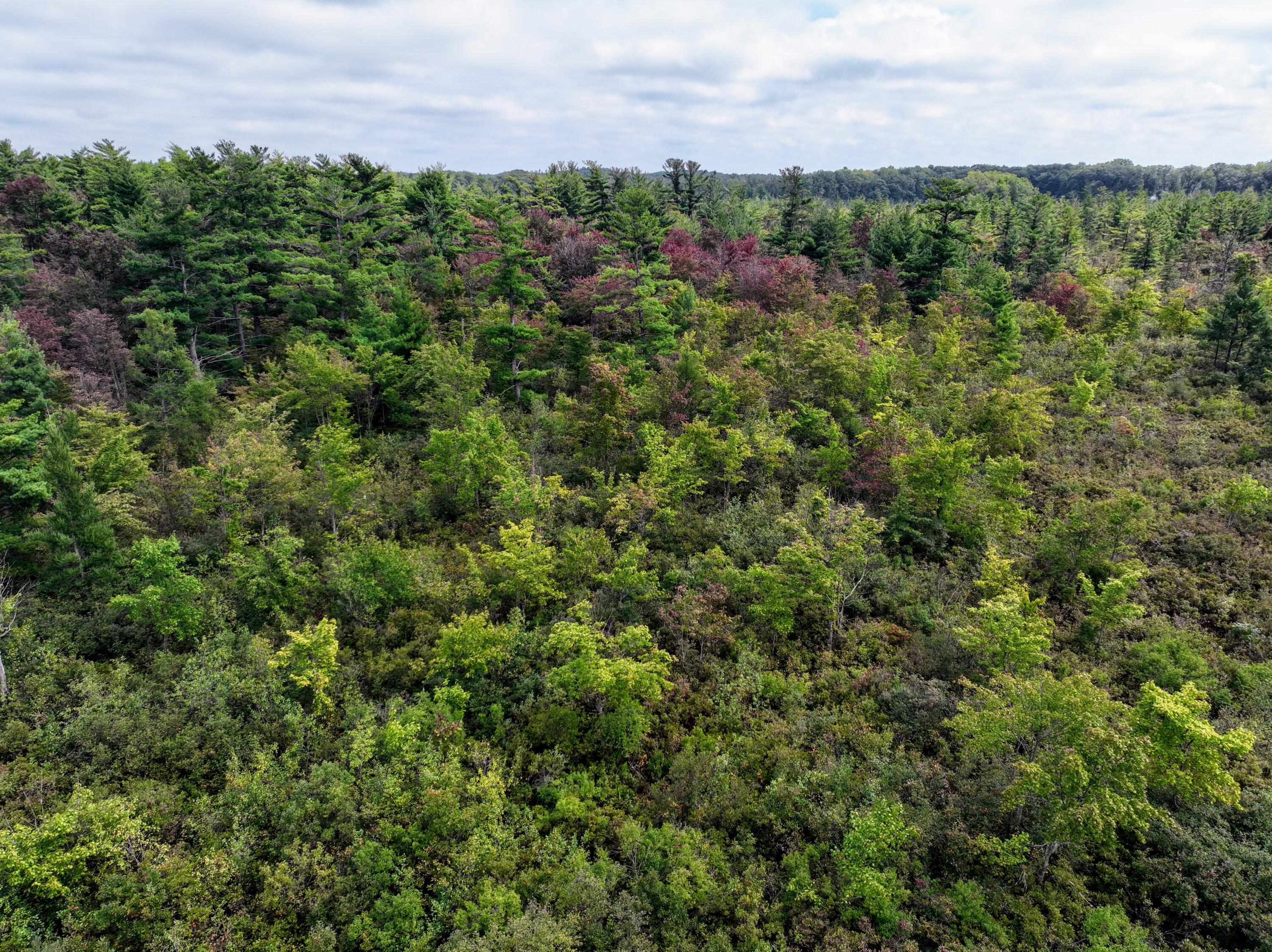 Vl Vl Orchard Road, Unit LOT#WP001 Delton, MI 49046 - Photo 17 of 41 17
