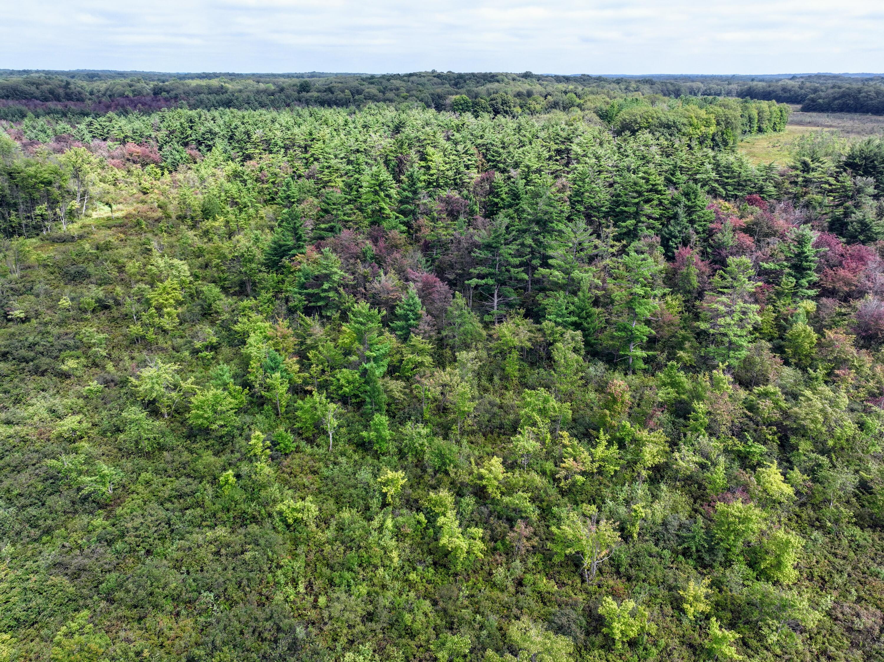 Vl Vl Orchard Road, Unit LOT#WP001 Delton, MI 49046 - Photo 18 of 41 18