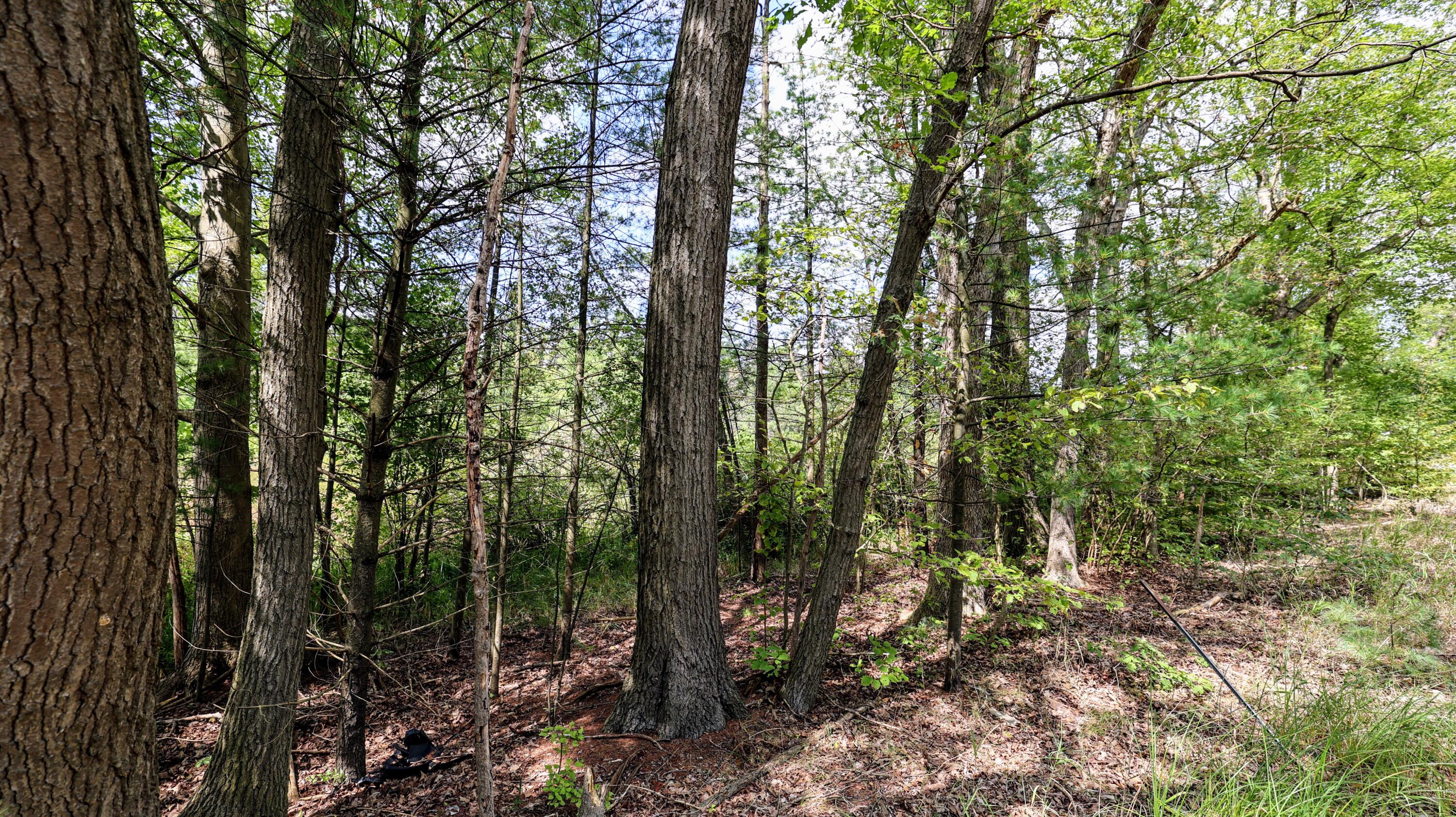Vl Vl Orchard Road, Unit LOT#WP001 Delton, MI 49046 - Photo 2 of 41 2