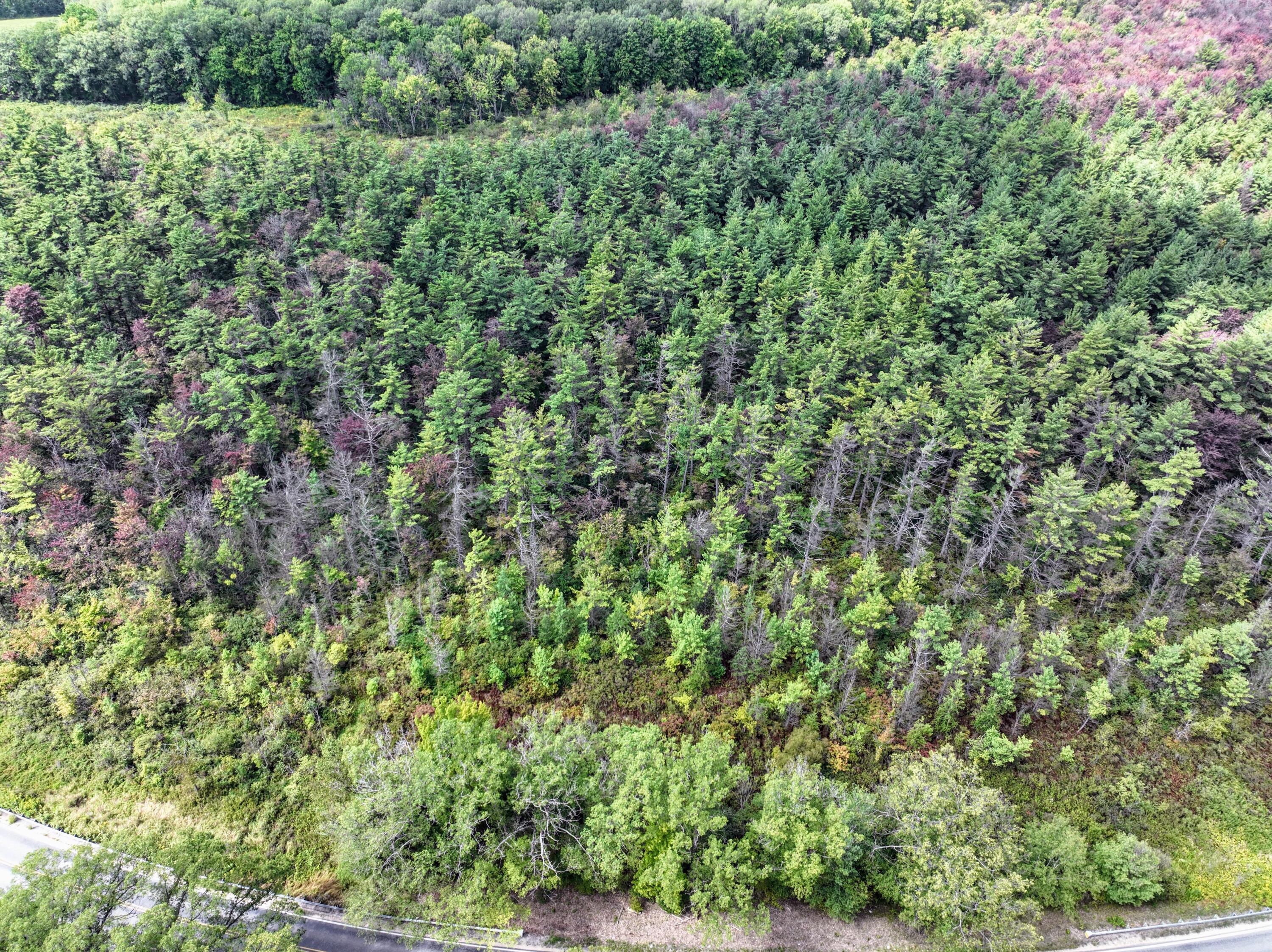 Vl Vl Orchard Road, Unit LOT#WP001 Delton, MI 49046 - Photo 26 of 41 26
