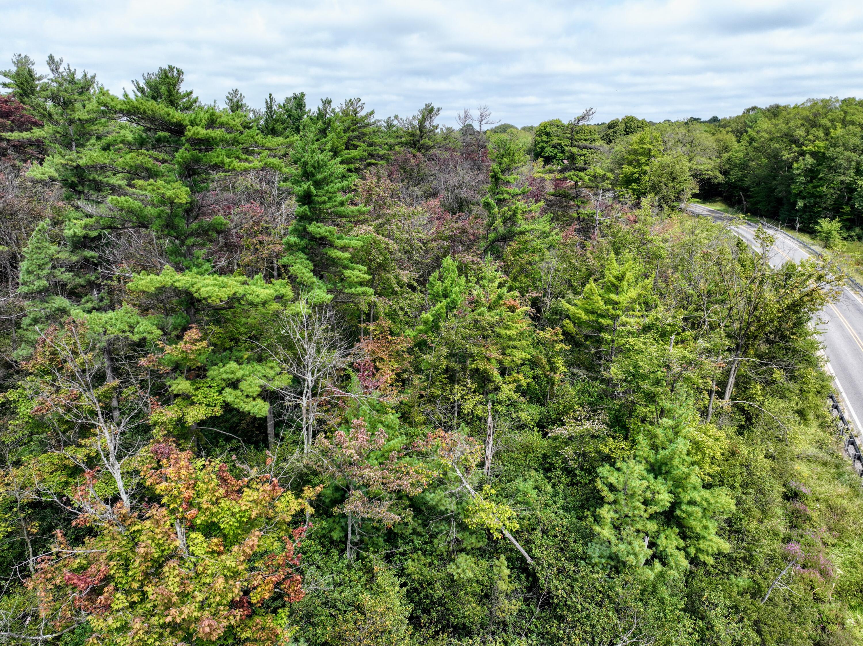 Vl Vl Orchard Road, Unit LOT#WP001 Delton, MI 49046 - Photo 28 of 41 28