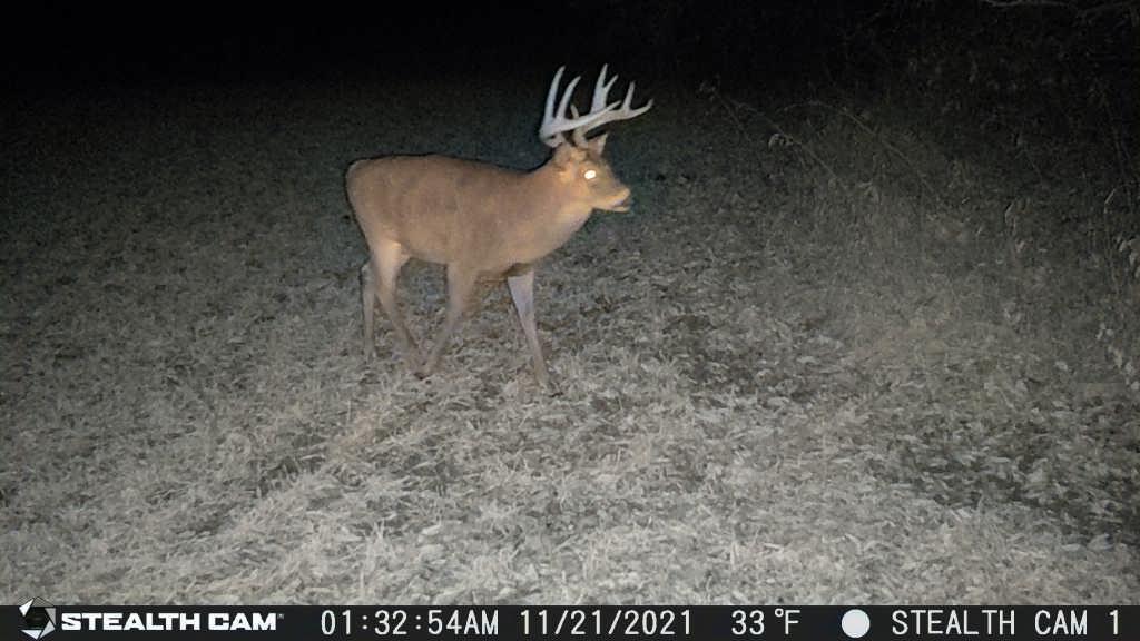 Vl Vl Orchard Road, Unit LOT#WP001 Delton, MI 49046 - Photo 29 of 41 1