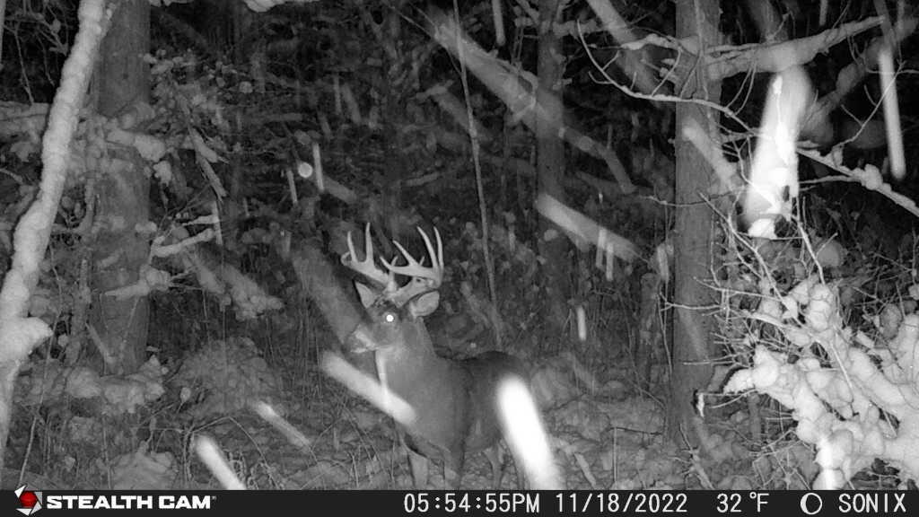 Vl Vl Orchard Road, Unit LOT#WP001 Delton, MI 49046 - Photo 30 of 41 2