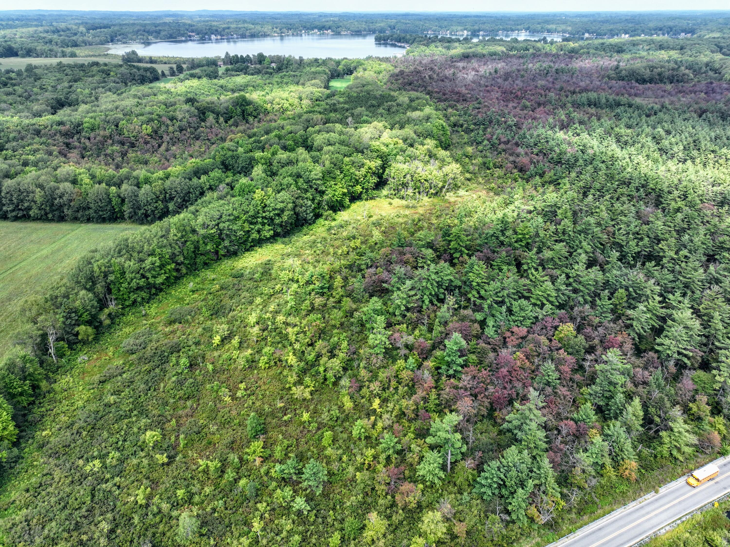 Vl Vl Orchard Road, Unit LOT#WP001 Delton, MI 49046 - Photo 3 of 41 3