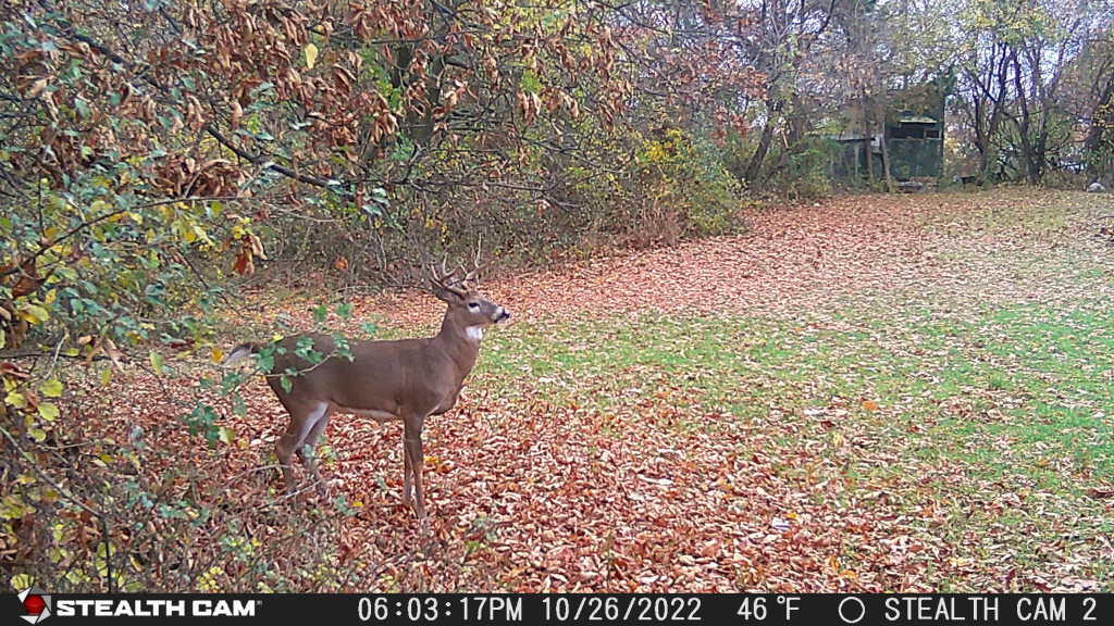 Vl Vl Orchard Road, Unit LOT#WP001 Delton, MI 49046 - Photo 36 of 41 8