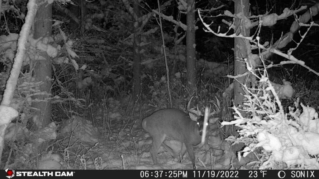 Vl Vl Orchard Road, Unit LOT#WP001 Delton, MI 49046 - Photo 40 of 41 12