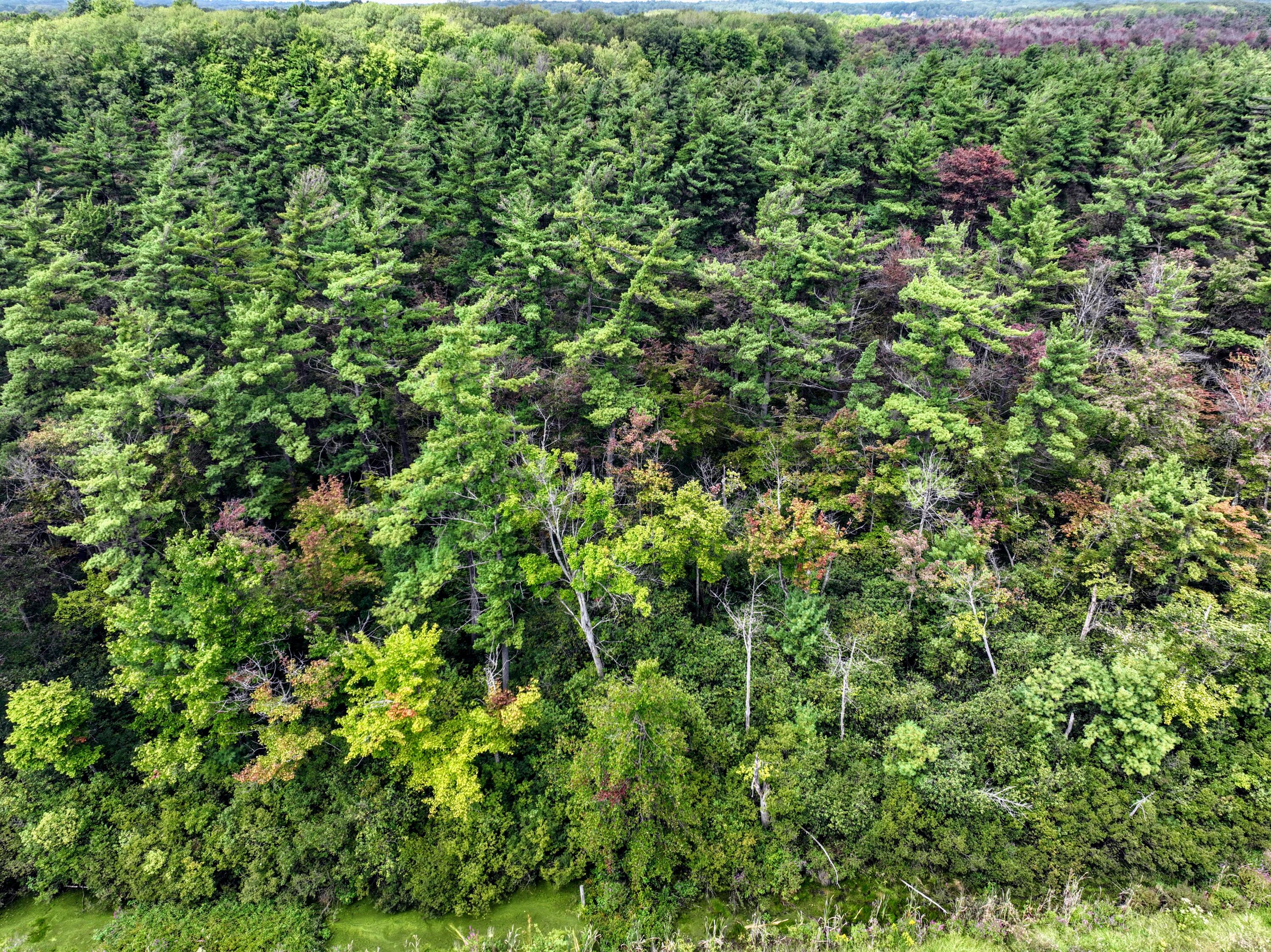 Vl Vl Orchard Road, Unit LOT#WP001 Delton, MI 49046 - Photo 4 of 41 4