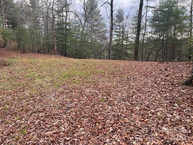 2035 Lower Tuskeegee Road Robbinsville, NC 28771 - Photo 1 of 10 Gallery Image 1