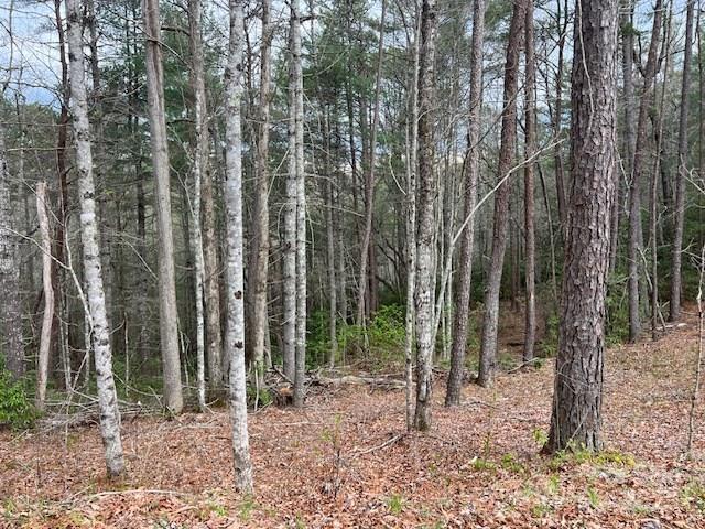 2035 Lower Tuskeegee Road Robbinsville, NC 28771 - Photo 2 of 10 Gallery Image 2