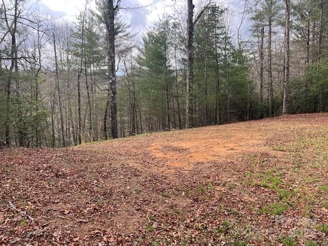 2035 Lower Tuskeegee Road Robbinsville, NC 28771 - Photo 4 of 10 Gallery Image 4
