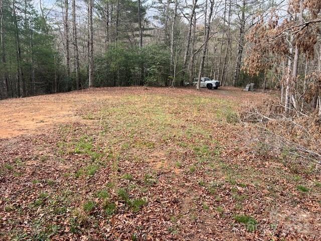2035 Lower Tuskeegee Road Robbinsville, NC 28771 - Photo 5 of 10 Gallery Image 5