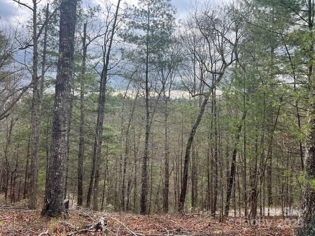 2035 Lower Tuskeegee Road Robbinsville, NC 28771 - Photo 6 of 10 Gallery Image 6