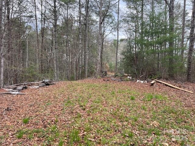 2035 Lower Tuskeegee Road Robbinsville, NC 28771 - Photo 8 of 10 Gallery Image 8