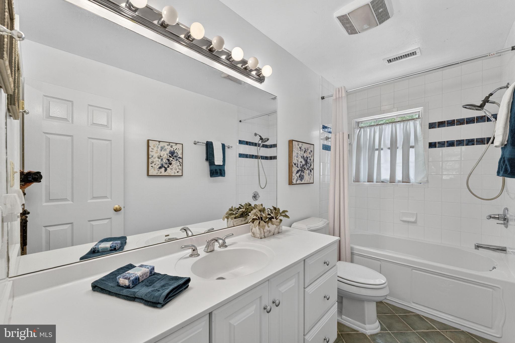 4531 Den Haag Road Warrenton, VA 20187 - Photo 52 of 103 a bathroom with a sink a toilet and a bathtub