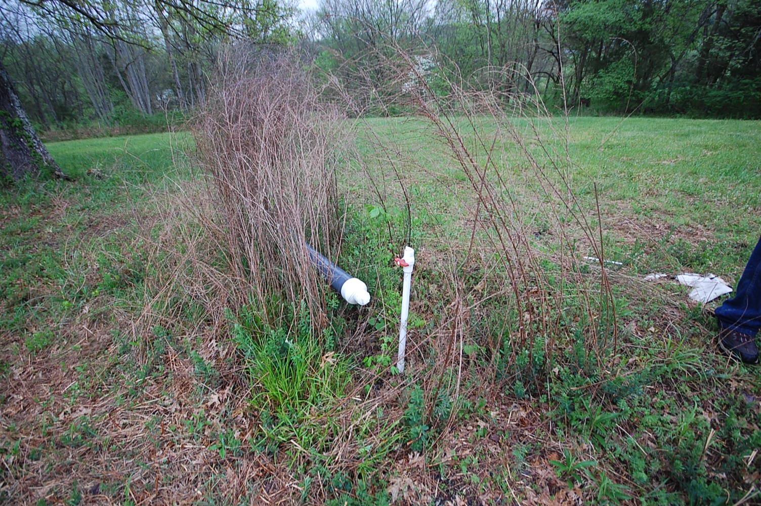 341 Buffalo Road Carthage, TN 37030 - Photo 17 of 20 a view of a lush green forest