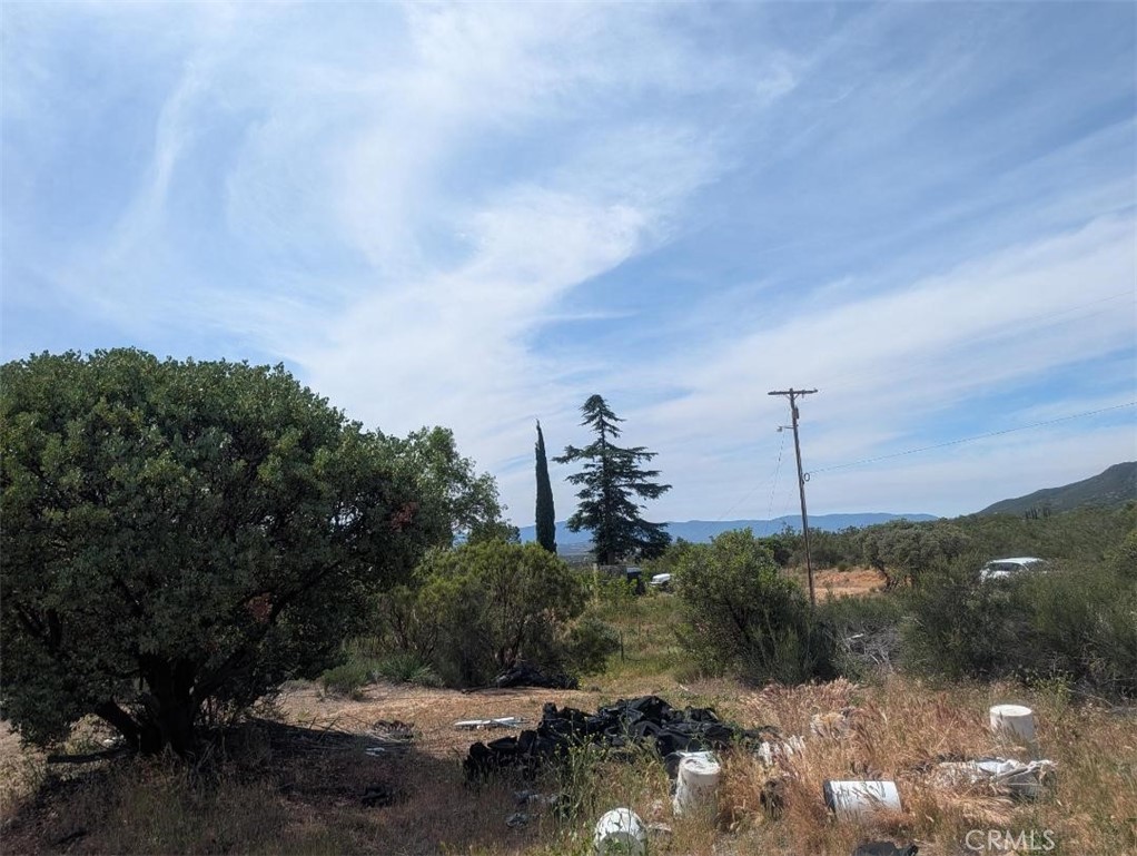 37120 Woodview Road Anza, CA 92539 - Photo 4 of 15