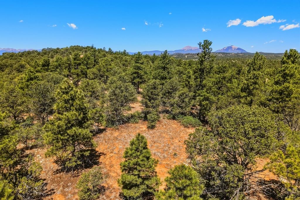 24900 County Road Boncarbo, CO 81024 - Photo 40 of 52