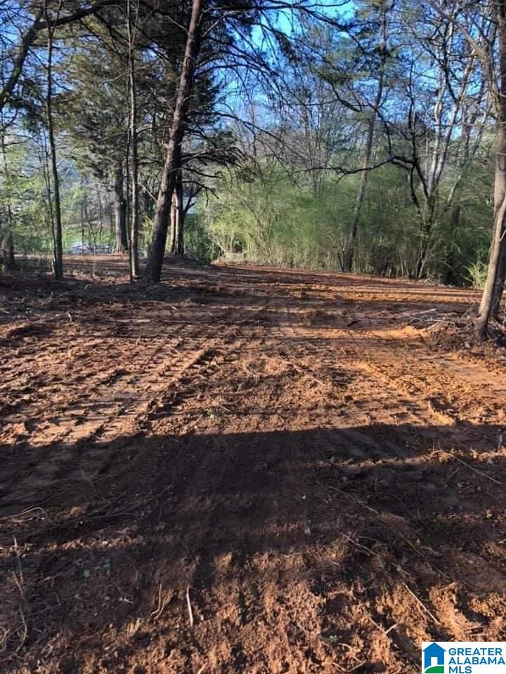 7951 Alliance Short Creek Road Mulga, AL 35118 - Photo 1 of 3