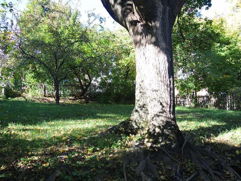 220 Arden Road Mt. Lebanon, PA 15216 - Photo 17 of 17 Yard/Garden.