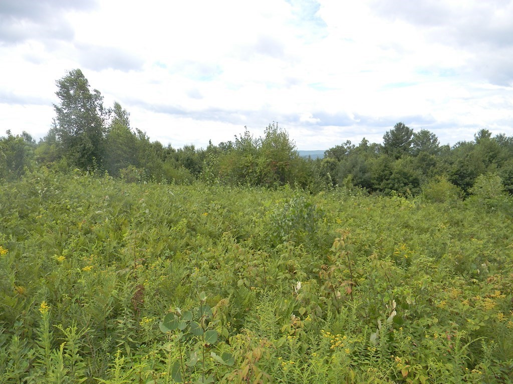 0 Ridge Road Athol, MA 01331 - Photo 8 of 10 a view of a green field