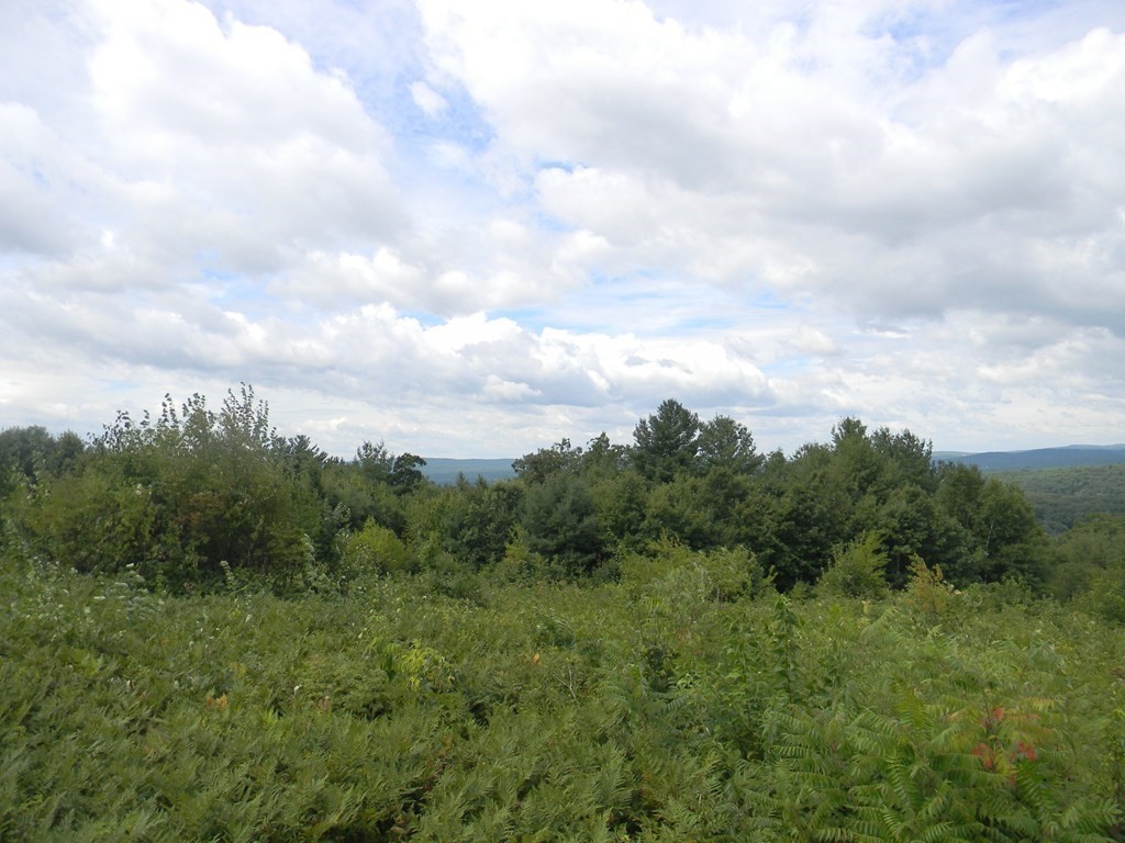 0 Ridge Road Athol, MA 01331 - Photo 10 of 10 a view of a green field with lots of trees