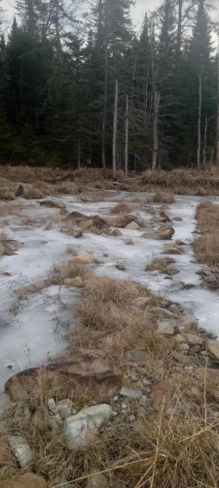 Ar105-p4 Jemtland Road Caribou, ME 04736 - Photo 5 of 6 20231224_144051