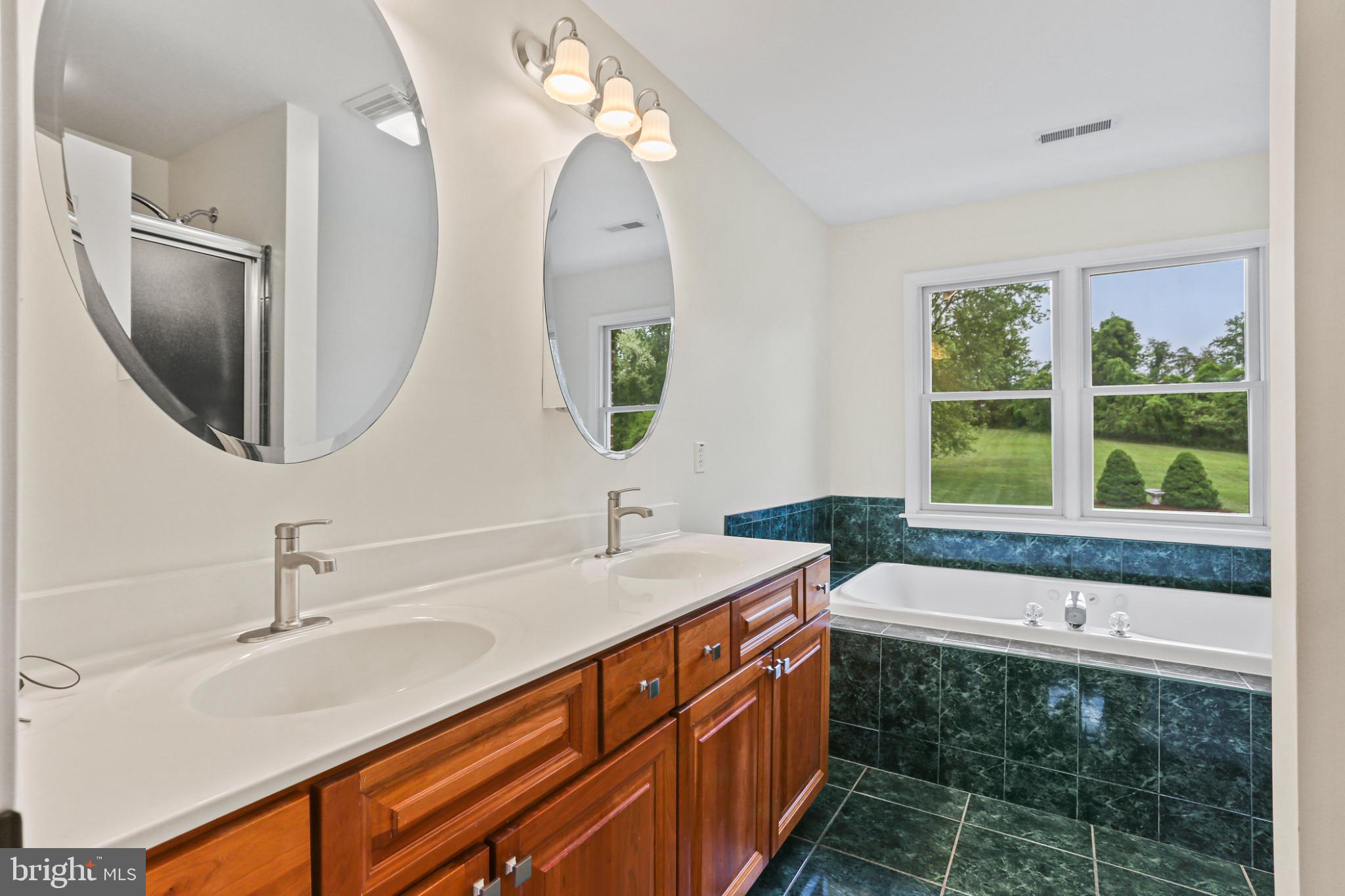 3547 Green Spring Road Havre de Grace, MD 21078 - Photo 16 of 50 a bathroom with a double vanity sink mirror and bathtub