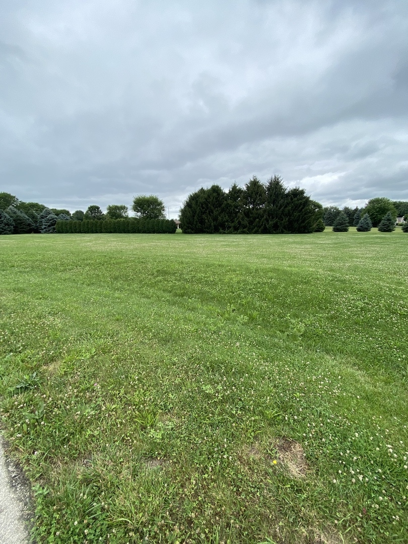 1982 North 2919th Road Ottawa, IL 61350 - Photo 3 of 4