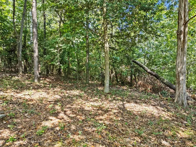 $98,000 | Lot 46 Loudwater Drive, Anderson, SC 29621
