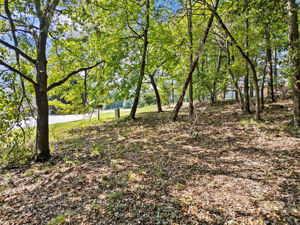 Lot 46 Loudwater Drive Anderson, SC 29621 - Photo 8 of 13