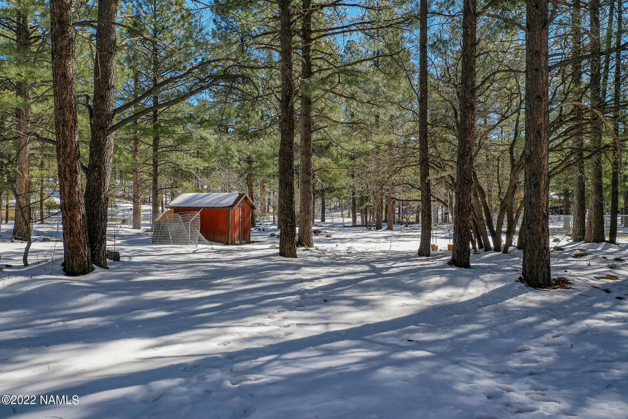 3890 North Paradise Road Flagstaff, AZ 86004 - Photo 33 of 51 TCI-34