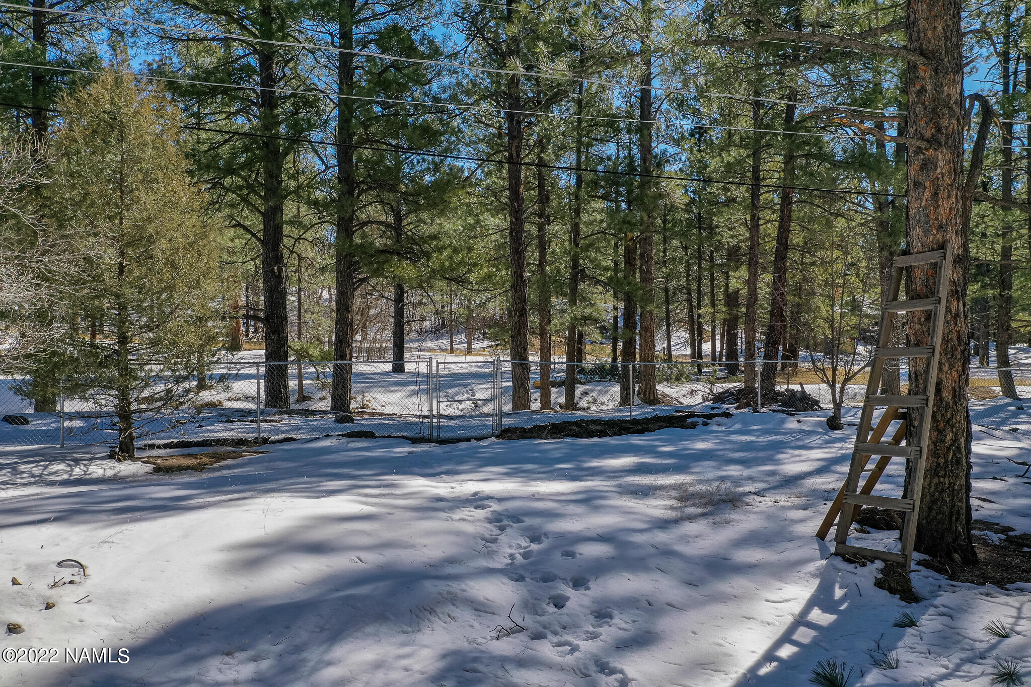 3890 North Paradise Road Flagstaff, AZ 86004 - Photo 35 of 51 TCI-36