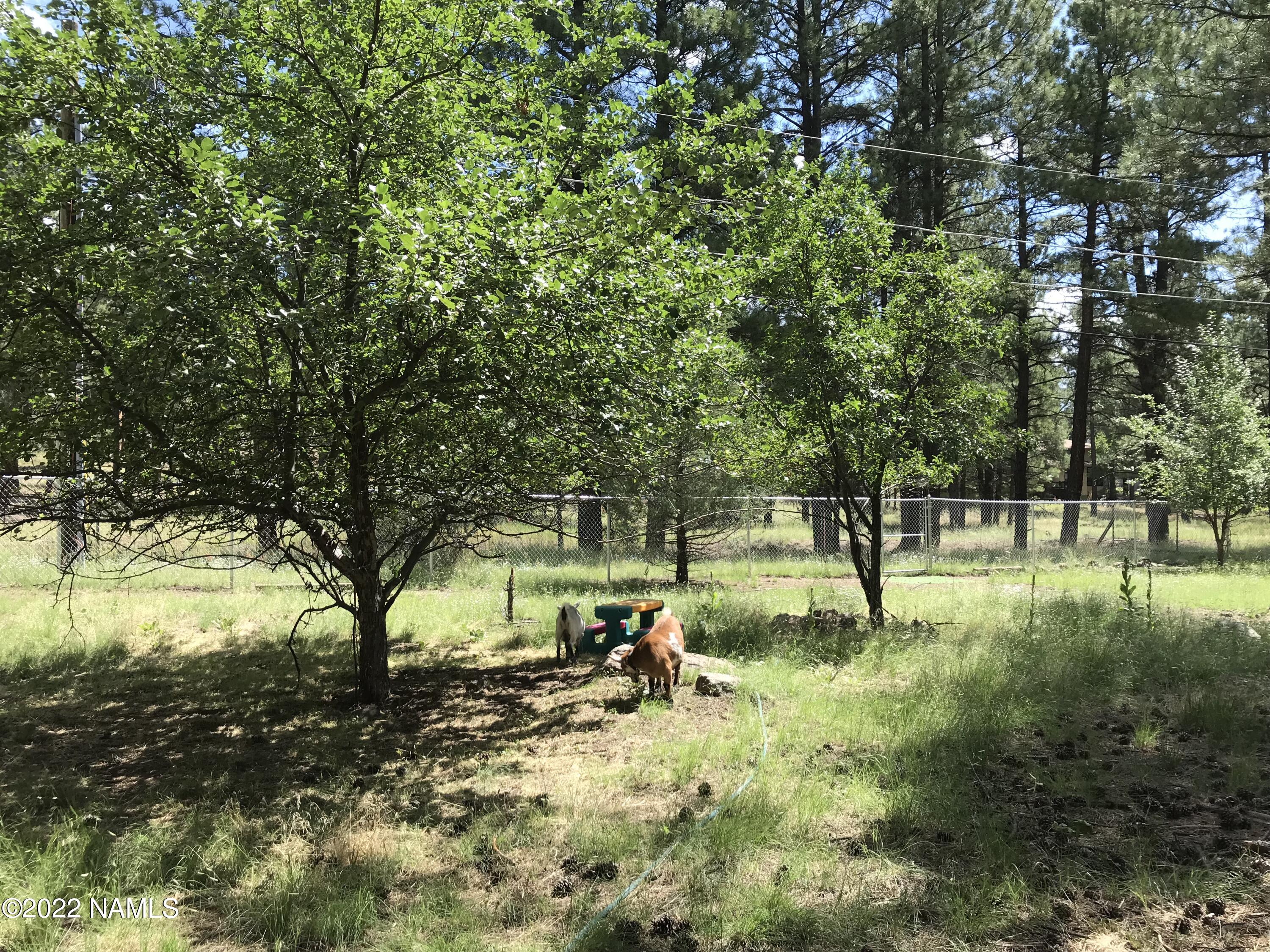 3890 North Paradise Road Flagstaff, AZ 86004 - Photo 51 of 51 IMG_1892