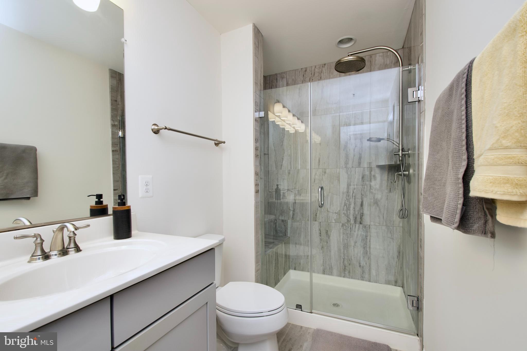 2900 Pinebrook Road Landover, MD 20785 - Photo 34 of 46 a bathroom with a sink a toilet and shower