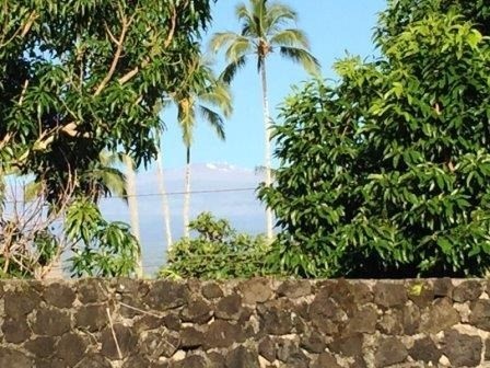 23 Lihikai Road Hilo, HI 96720 - Photo 2 of 6 a backyard of a house with lots of green space