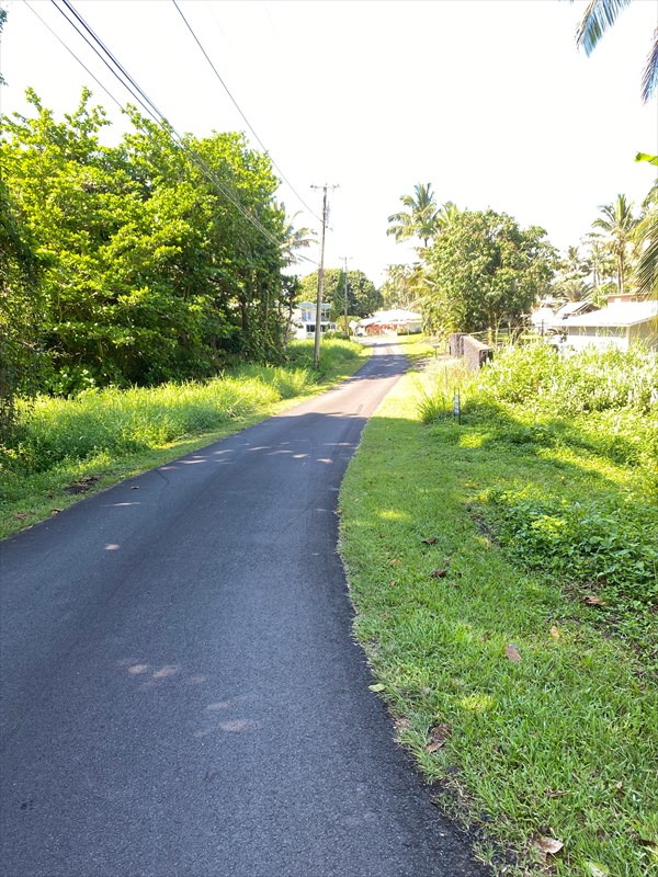 23 Lihikai Road Hilo, HI 96720 - Photo 5 of 6 a view of a yard with a house