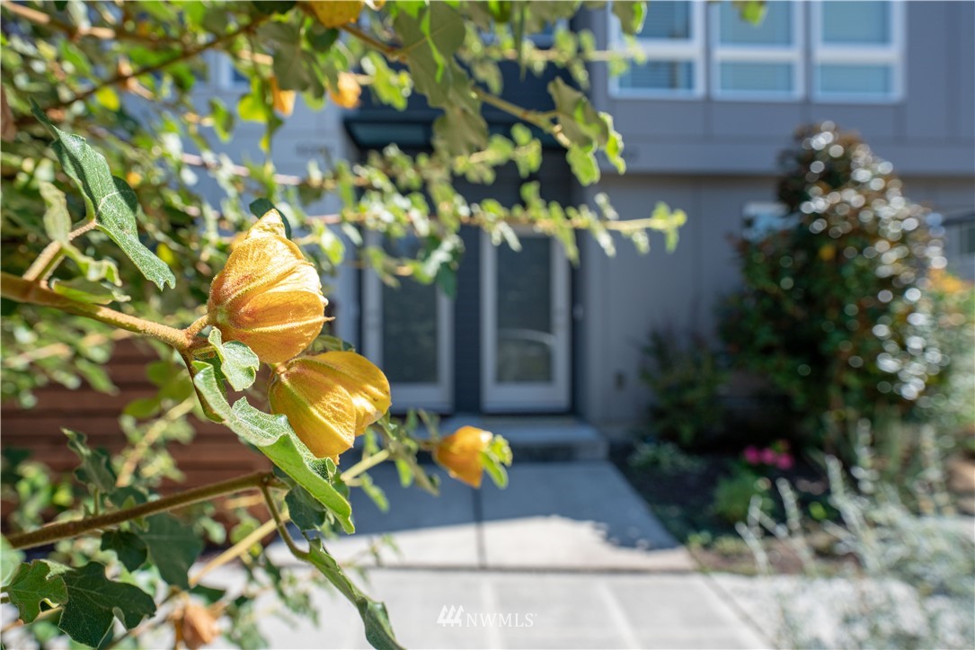 4262 Linden Avenue North Seattle, WA 98103 - Photo 4 of 40 a backyard of a house with lots of green space