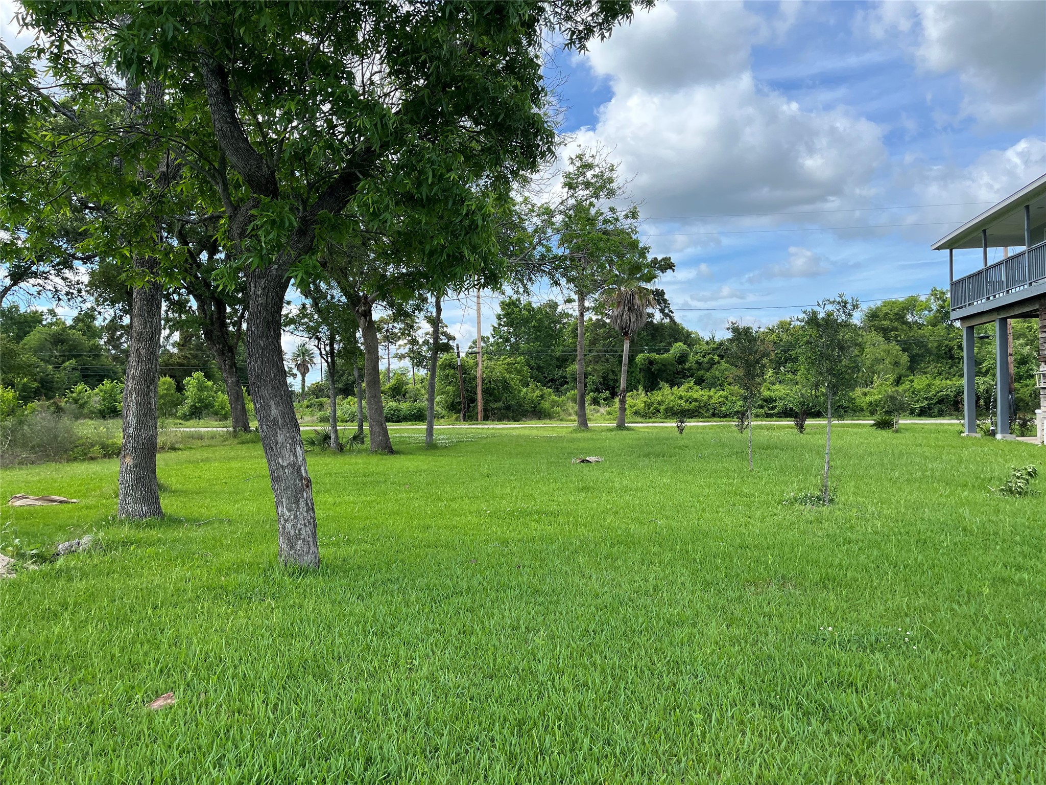 21511 Rio Villa Drive Houston, TX 77049 - Photo 15 of 45 a view of a park with large trees