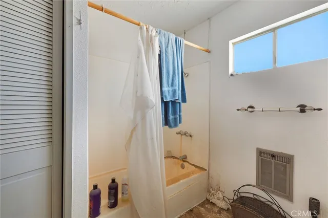 a room with furniture a plant and a window