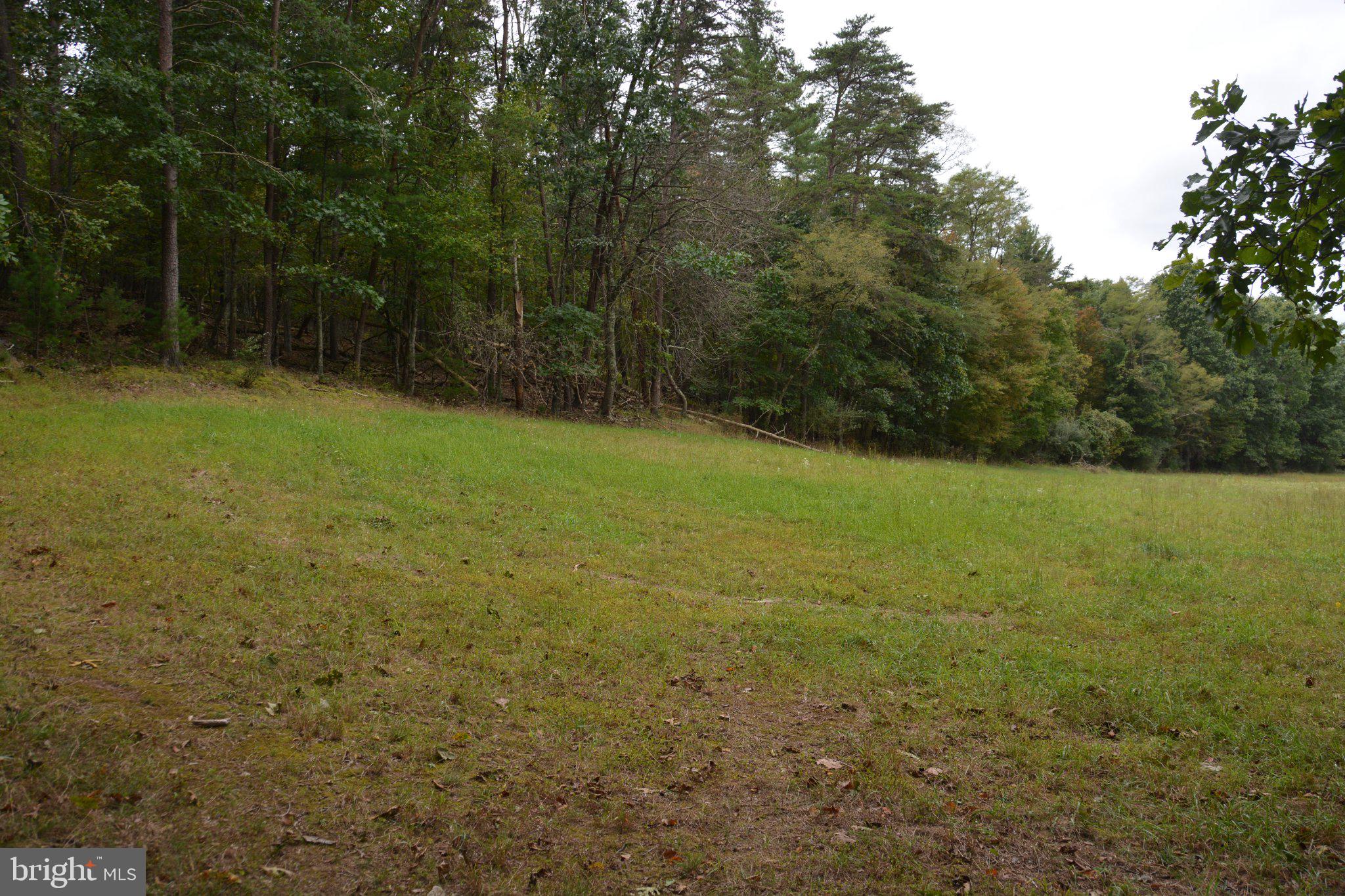 3016 Siler Road Winchester, VA 22603 - Photo 75 of 83 Open field, the neighbor cuts hay